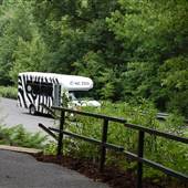 NC Zoo - Tram