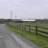 Pilot Mountain Horse Farm