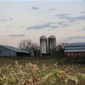 Red Barns off of Hwy 64