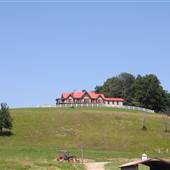 Palomino Mountain Ranch