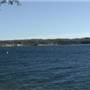 Carolina Marina at Belews Lake
