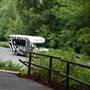 NC Zoo - Tram