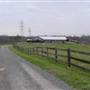 Pilot Mountain Horse Farm