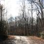 Dirt Roads at Yadkin River Park