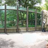 NC Zoo - Africa