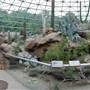 NC Zoo - Sonora Desert