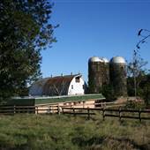 Abandoned Farm in Clemmons