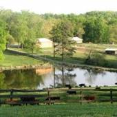 Farm in Alamance