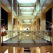 Natuzzi Showroom