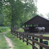 Surry County Private Farm & Lake