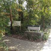 Bog Garden