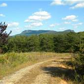 Mountain View Trailer on 24 acres