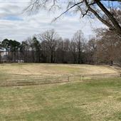 Empty Field