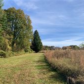 Reynolda House Trails & Field
