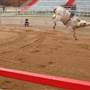 Davis Rodeo Ranch