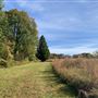 Reynolda House Trails & Field