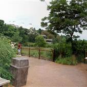 NC Zoo - Watani Exhibit