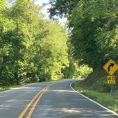 Stokes County Highway