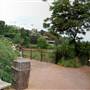NC Zoo - Watani Exhibit