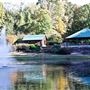 Tanglewood Park