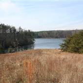 Belews Lake