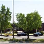 Ben L Smith High School