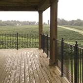 RayLen Vineyard
