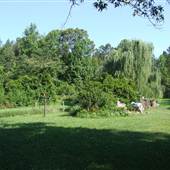 Troy Land with Pond