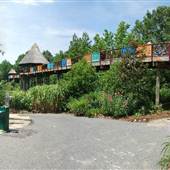 NC Zoo - General Overview