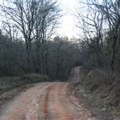Dirt Road - Yadkin River Park in East Bend