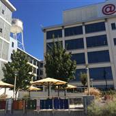 525 @ Vine offices