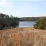 Belews Lake