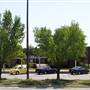 Ben L Smith High School