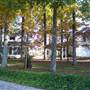 Lake Lodge