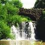 Reynolda Bridge