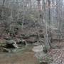 Yadkin River Island Trails/River
