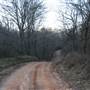 Dirt Road - Yadkin River Park in East Bend