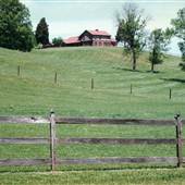 Horse Farm in Forsyth County