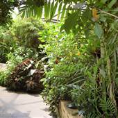 NC Zoo - Aviary