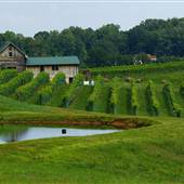 Gioia dell Amore Vineyard & Cellars