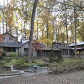 Cabin in woods