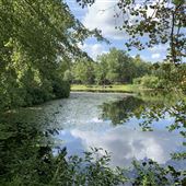 Ritter Lake Property