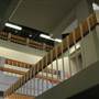 A. Community College