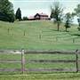 Horse Farm in Forsyth County