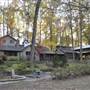 Cabin in woods
