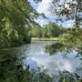 Ritter Lake Property