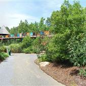 NC Zoo - Picnic Areas