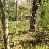 Run Down Plantation - Stokes County