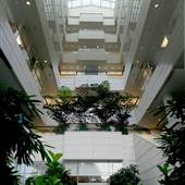Cherry St. Building