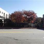 Lofts at Greensborough Court